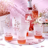 Bride team bride cups and straws bridal shower party decorations