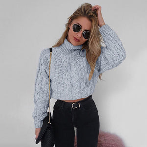 Turtle neck oversize fashion sweater top