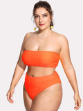 *PLUS DOLL* “Splendid” 2 piece high waist plus size bikini swimsuit