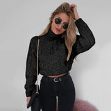Turtle neck oversize fashion sweater top