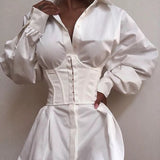 Ladies under fashion corset belt